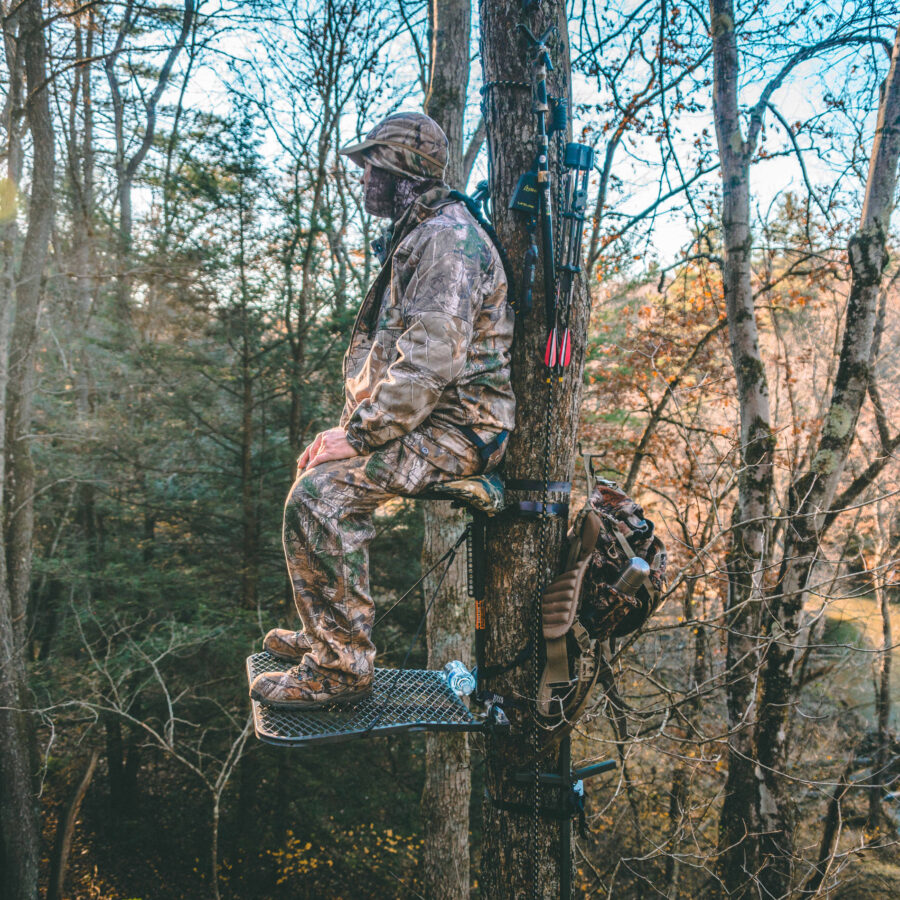 Hunter in a Tree Stand